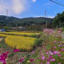 뒤웅박고을 이미지