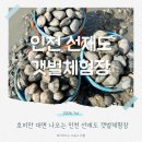 서해고무 | 서해 갯벌체험 추천 서울근교 선재도갯벌체험장 바지락 진짜 많아요