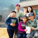 [농촌 Zoom 人] “귀농 위기 ‘허브’로 이겨내…후배들에 영농비결 전수도” 이미지