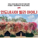 BOB 어린이 수영장 | 발리 아야나 림바 리조트 조식포함 20만원대 특가 가격 할인 예약 방법 | 오늘 놓치면 후회