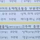 나예뷰티