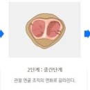 디데이핏 이미지