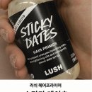 헤어러쉬 | LUSH 러쉬 스티키 데이츠 헤어프라이머 헤어퍼퓸 인간 카라멜 고고 내돈내산 후기