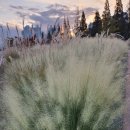 미르부동산공인중개사사무소 이미지