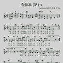꽃들도