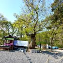 한미산 흥국사 나한전 | 고양시. 천년고찰 노고산 (한미산) 흥국사 興國寺 (사찰기행) 38.