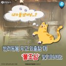 고양이가 인덕션 스위치 눌러 화재..서울서만 올해 31건 이미지