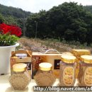 천태산농원 이미지