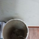 더클린세상 이미지
