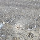 32번국도 이미지