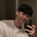 댄디탑