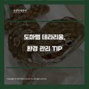 테라리움동물병원 이미지