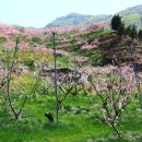 사곡2리 이미지