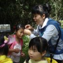 일동초병설유치원 이미지