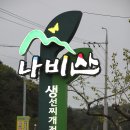 경북 영덕 “나비산 기사식당” 이미지