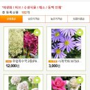 더케이야생화 이미지