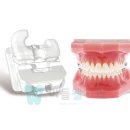 마들웰치과의원 이미지