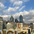 강남역 루프탑 카페 : 셀렉티드니스 재방문 후기