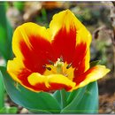 대천농장 이미지