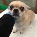 매화파출소 이미지