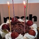 클래식노아 - 광주시 경충대로 1010-8 | 생일케이크 추천! 체리포레누아 좋아하면 꼭 먹어봐야 하는 노아베이커리 키리쉬 후기