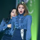 다미 이미지