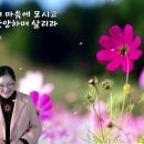 화평 이미지