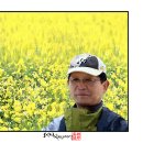 단성중학교 이미지