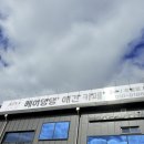 헤이, 댕댕 이미지