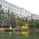 배방읍 세출리 호서대 진입로 | 아산 호서대학교 세출소류지에서 만나는 아름다운 벚꽃세상