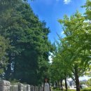 윤식농장 이미지