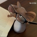 예스안경원 이미지