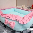 멍멍닷컴 이미지