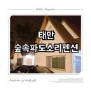 숲속파도소리 | [장소 기록] 태안 갯벌체험, 해루질 전문 숙소 숲속파도소리펜션