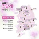 제97차 정기산행 전남 여수 영취산(510M) 진달래 꽃 산행 이미지