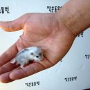 작은 동물원 이미지