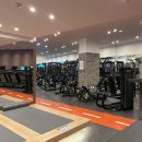 헬스보이짐 앤 필라걸 앤 골프인 이미지