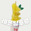 왕가탕후루 | 레몬탕후루 호매실 왕가탕후루 후기 및 가격 칼로리 정보