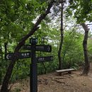 세븐일레븐(안양6호점) | 수리산 등산코스 골안공원 관모봉 태을봉 산본고 가는법 소요시간