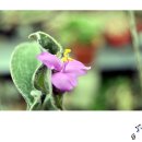 송정하우스 이미지