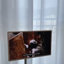 초등 창의미술 | 🔥 〈파라오 방의 비밀〉 초등 창의미술 아트크레오 — 독서→설계→조형까지 완성하는 수업