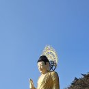 소나무스포츠