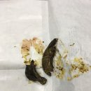 24시폴동물병원 이미지