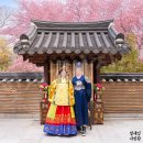 한사랑결혼정보 | 본식스냅 전통혼례 후기, 야외결혼식 스냅 추천...워커힐웨딩 | 인천본식스냅 | 한사랑우리혼례 | 단한복