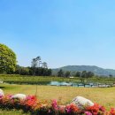 솔모로골프장 이미지