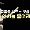 당신의 수명을 갉아먹는 뱃살! 1인치를 줄이면 5년을 더 산다 이미지