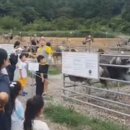고성목장 이미지