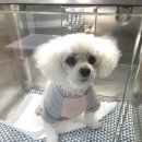 오션동물메디컬센터 이미지