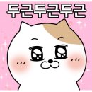 위즈레슬링 이미지