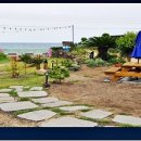 위드세화민박 이미지